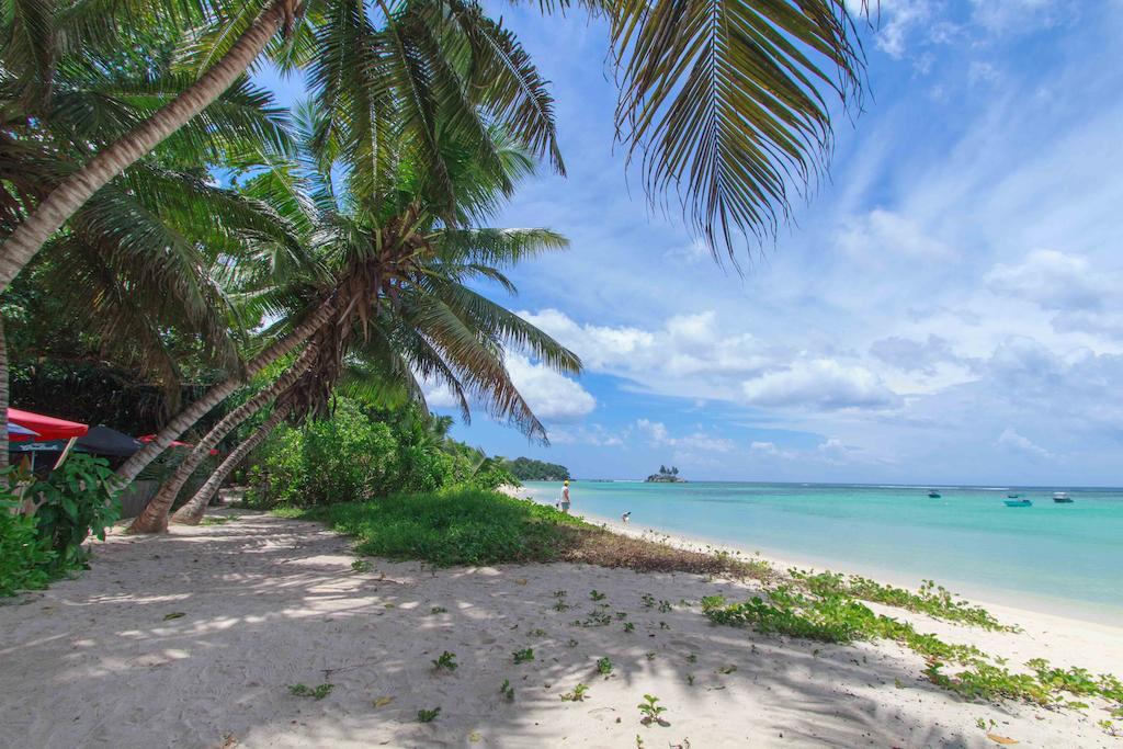 Coco Blanche Apartment Anse Royale Exterior photo
